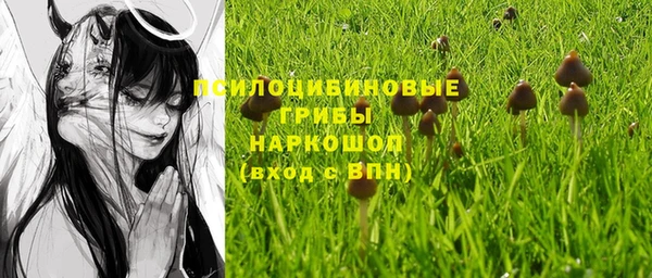 круглые Арсеньев