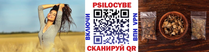Галлюциногенные грибы Psilocybe  Юрьевец 
