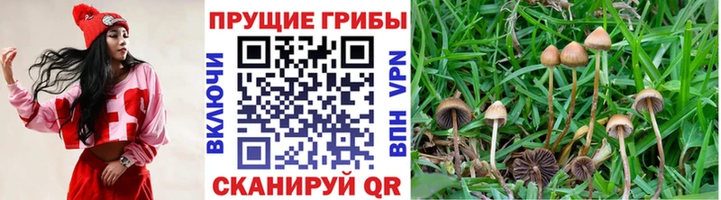 Галлюциногенные грибы Magic Shrooms Юрьевец